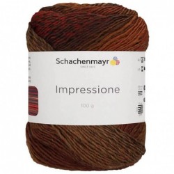 Schachenmayr Impressione 100g Landscape, landscape color