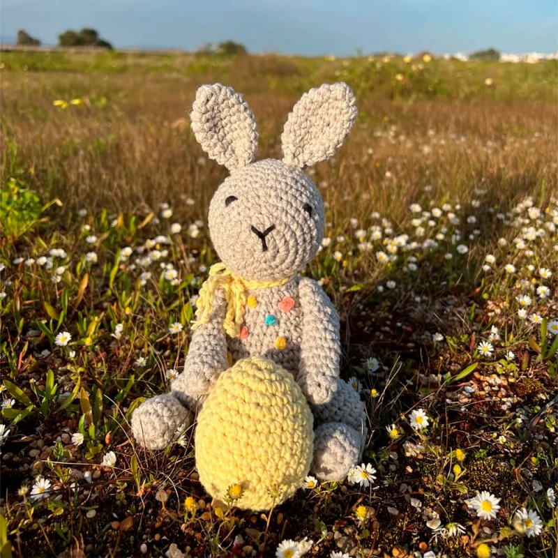 Anchor Amigurumi Kit - Bunny